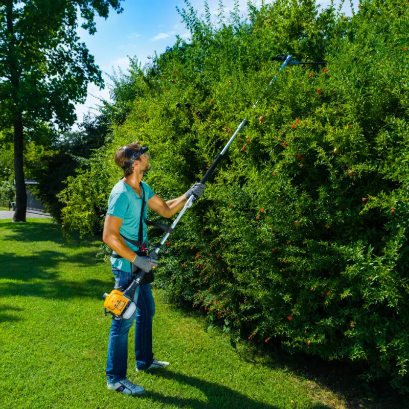 SMT226_287130152ST1_amb02_web-ecommerce